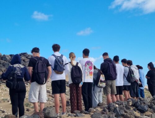 El yacimiento de Fiquinineo: aula abierta para los estudiantes de Turismo de la EUTL