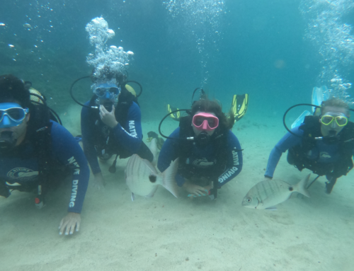 Actividad práctica de submarinismo en Costa Teguise en la asignatura Ocio y Turismo